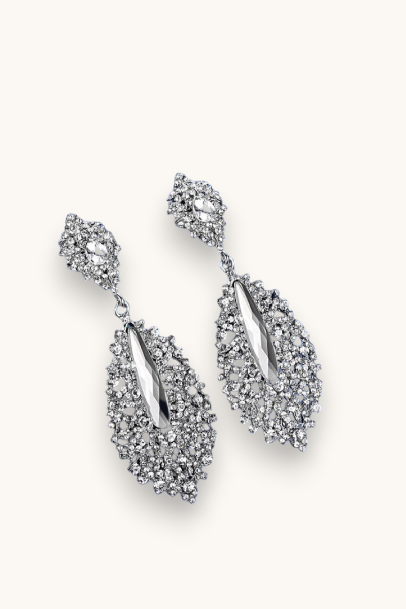 Proginiai auskarai "Crystal silver earrings"