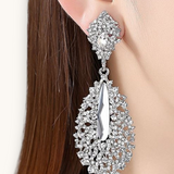 Proginiai auskarai "Crystal silver earrings"