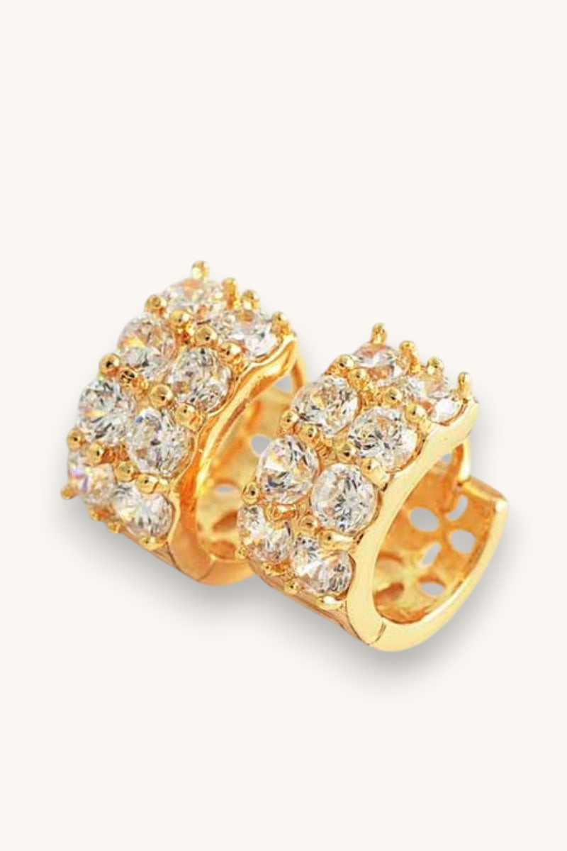 Auskarai "Shinning hoop earrings"