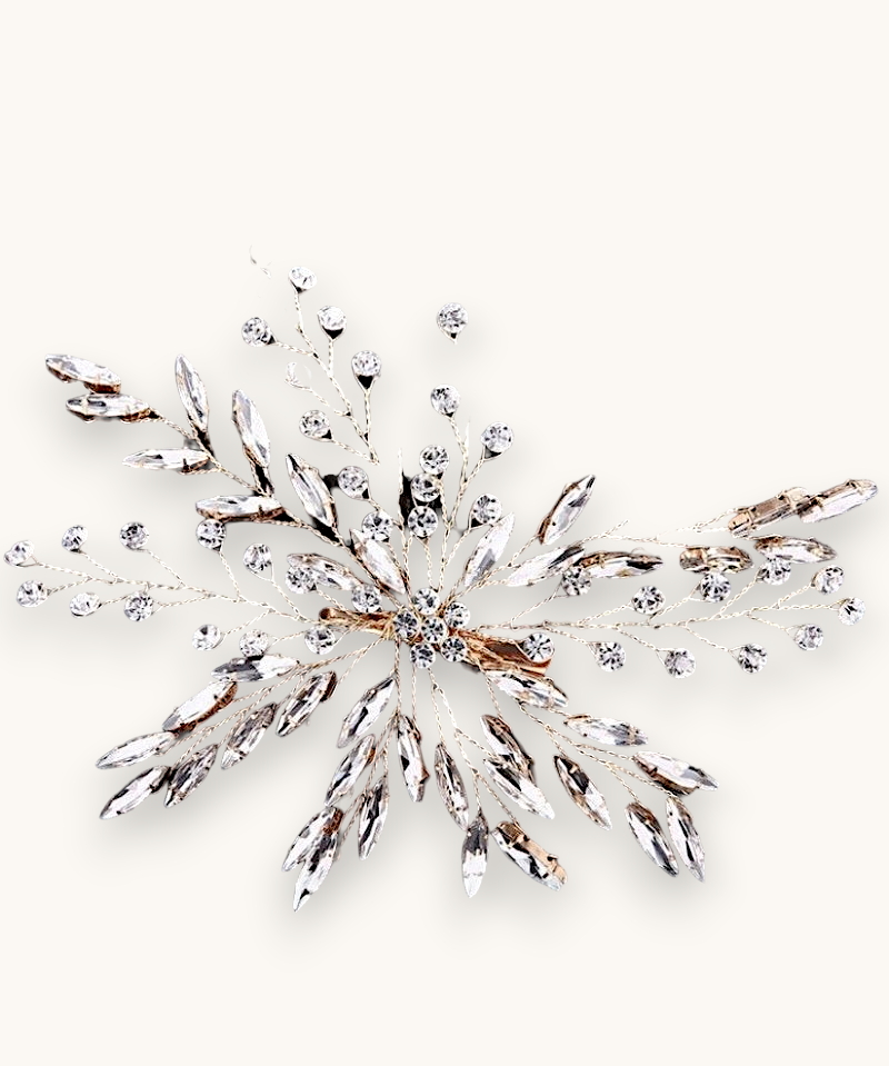 Plaukų sagė "Gold mirror"