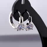 Auskarai "Glitter silver earrings"