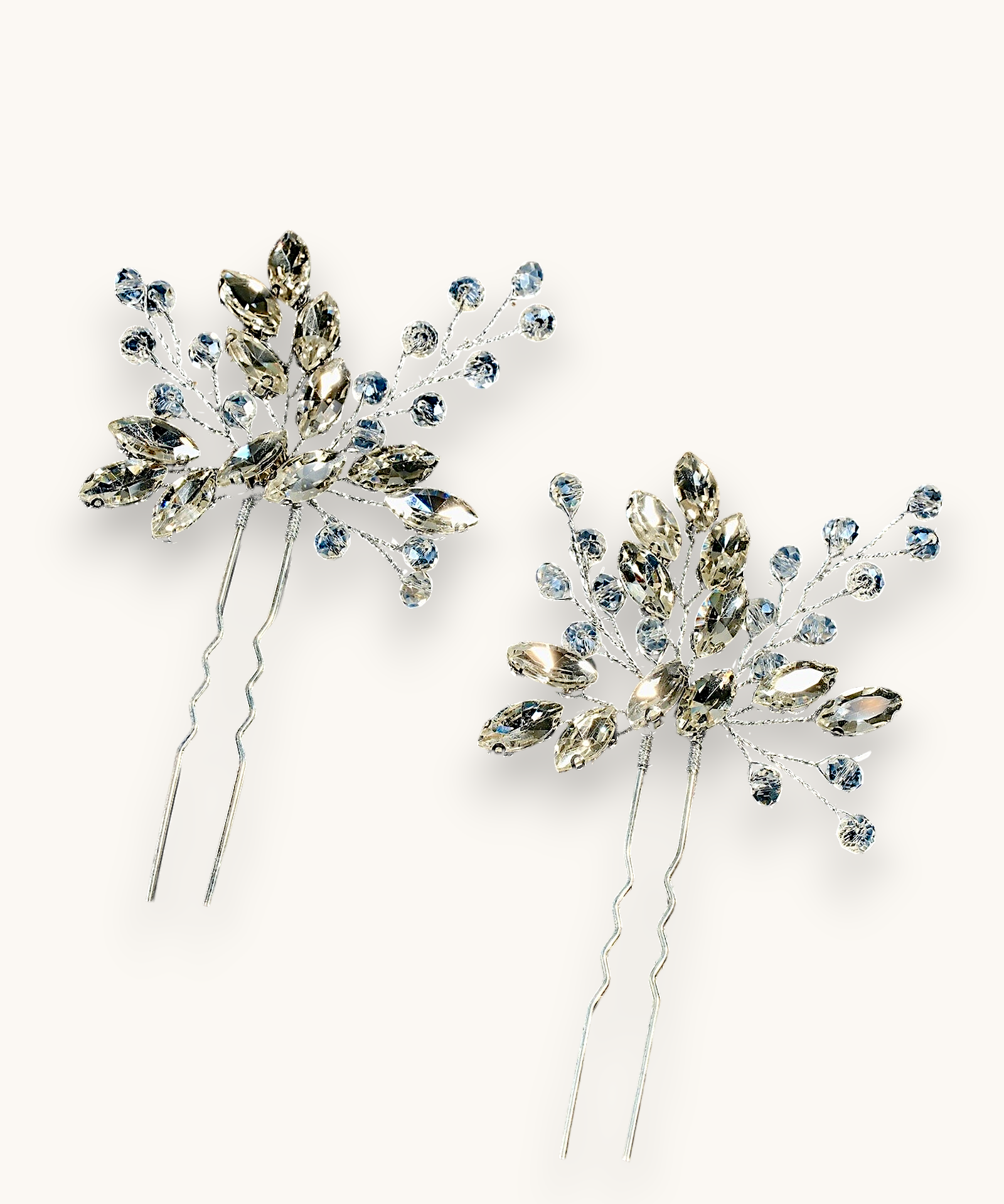 Rinkinys "Radiant Twigs Duo"